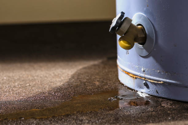Best Professional water damage repair  in Totowa, NJ