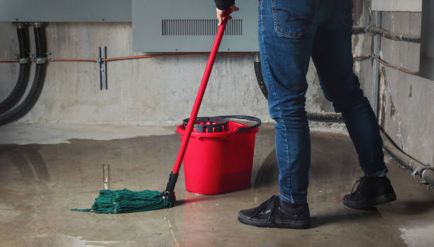 Water damage restoration mold remediation in Totowa, NJ